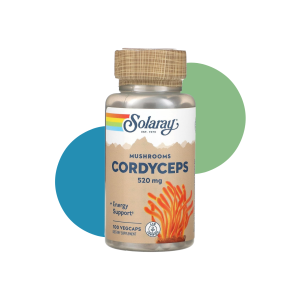 CORDYCEPS MUSHROOM 500MG