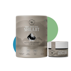 SHILAJIT SILVER 20GMS