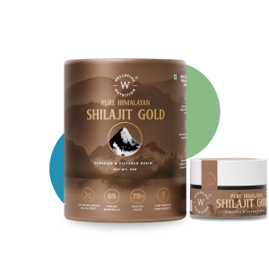 SHILAJIT GOLD 20GMS